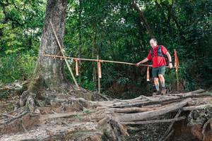 BIB: 
                            <button type="button" onclick="openModal(27801625)" class="btn btn-primary btn-sm float-right btn-popup" data-toggle="modal" data-target=".modal-high-quality">
                        <i class="fas fa-shopping-cart"></i> Add to Cart
                    </button>
                                            <button type="button" onclick="isThisMe(27801625, true)" class="btn btn-success btn-sm float-right btn-popup btn-isme hidden" data-toggle="tooltip" data-placement="bottom" title="นี่คือรูปของคุณใช่ไหม คลิกที่นี่เพื่อเอาเข้าอัลบั้ม">
                        <i class="fas fa-plus"></i> Add to album
                    </button>
                    <button type="button" onclick="isThisMe(27801625, false)" class="btn btn-warning btn-sm float-right btn-popup btn-isnotme hidden">
                        <i class="fas fa-ban"></i> Remove from album
                    </button>